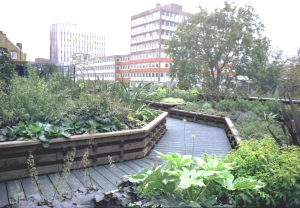Green Roof Garden