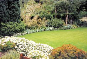 Just using white summer bedding is very effective in such a large garden